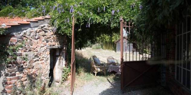 Chapitre 7 : sous la glycine